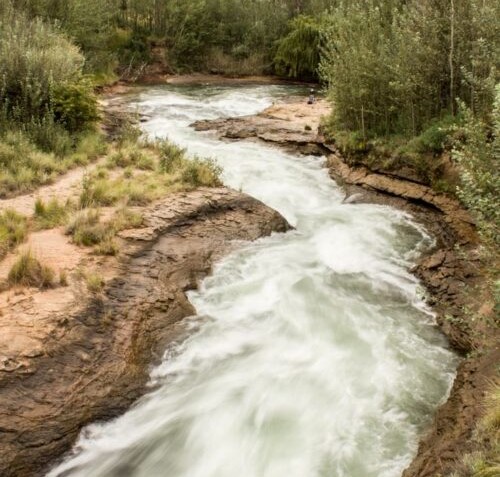 stop setting goals business growth

