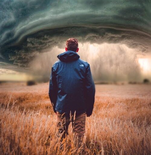 busy vs growth chart